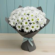 Букет цветов из:  Хризантемы #REPLACE_PRED# Михнево