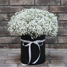 Цветочная композиция из Гипсофила в шляпной коробке #REPLACE_PRED# Михнево