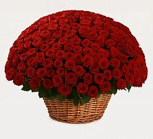 Премиум букет из: Розы в Михнево